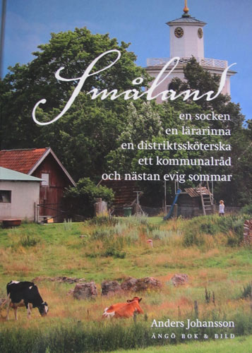 Småland en socken, en lärarinna, en distriktssköterska, ett kommunalråd och nästan evig sommar , av Anders Johansson